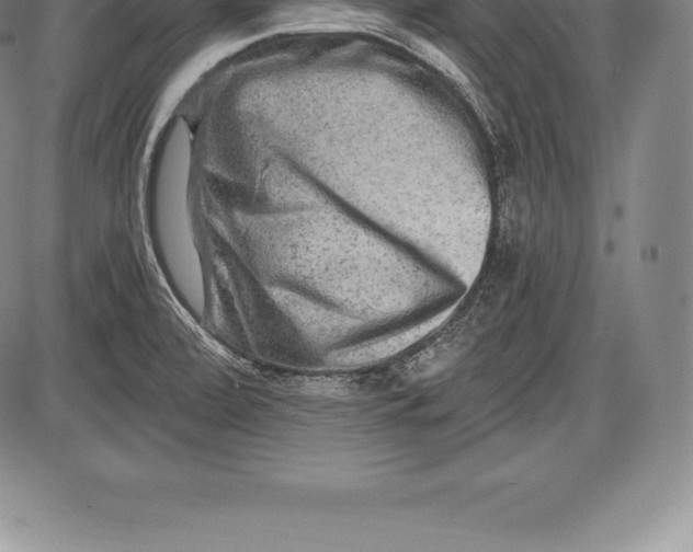 X0000085821472200703301541