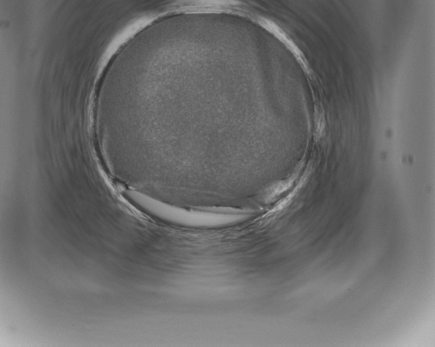 X0000085821477200703301541