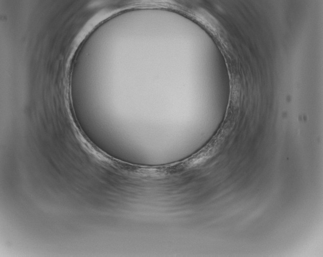X0000085821478200703301541