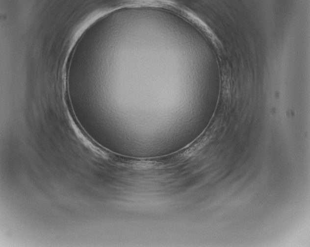 X0000085821479200703301541