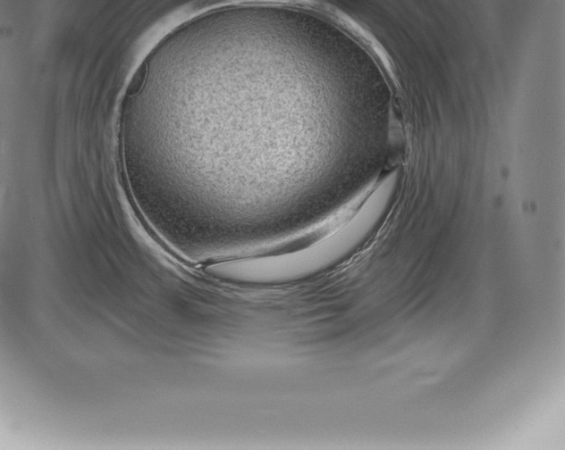 X0000085821483200703301541