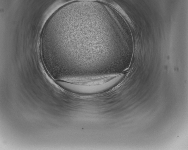 X0000085821484200703301541