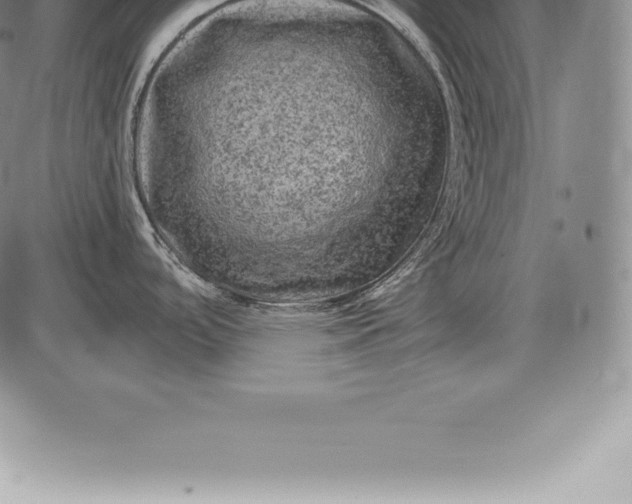X0000085821488200703301540
