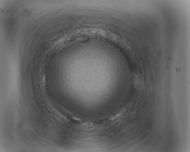 X0000085821489200703301540