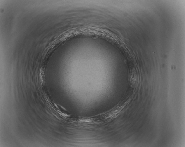 X0000085821490200703301540