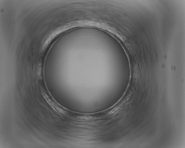 X0000085821499200703301540