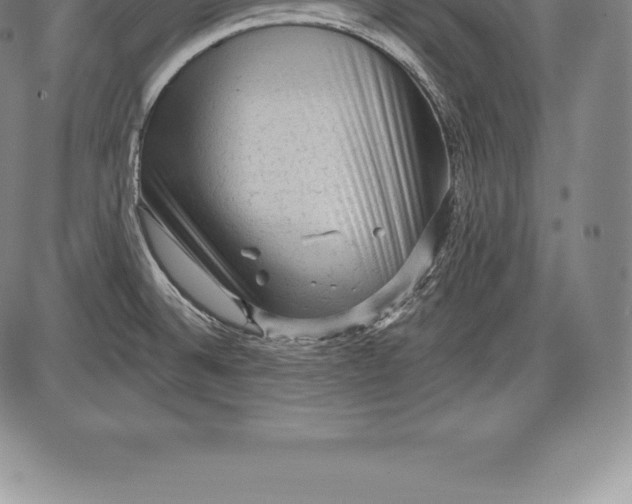 X0000085821524200703301540