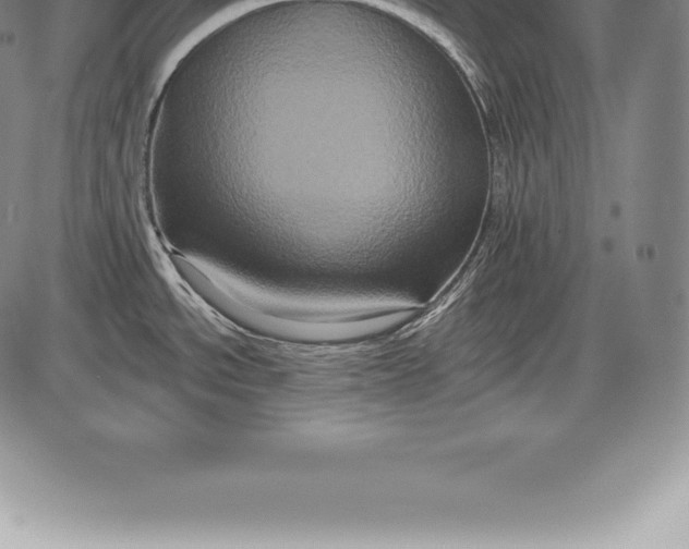 X0000085821534200703301540