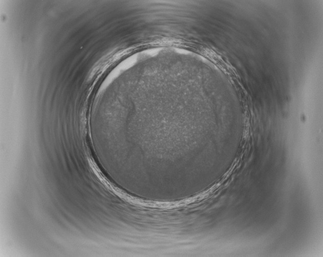 X0000085820002200704091644