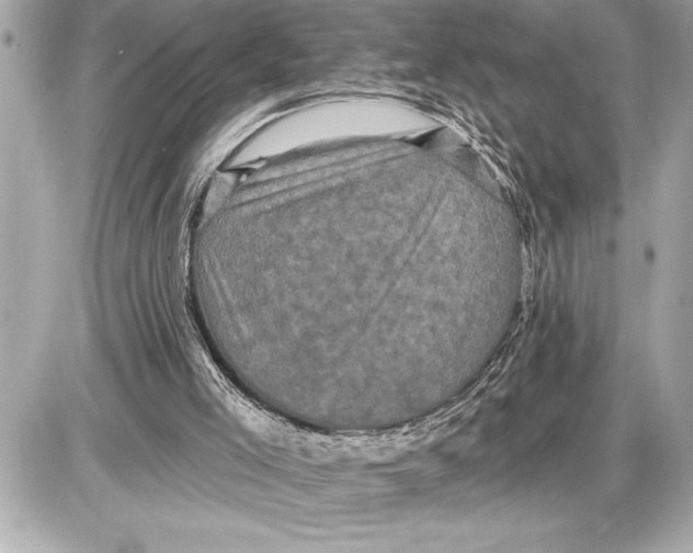X0000085820005200704091644