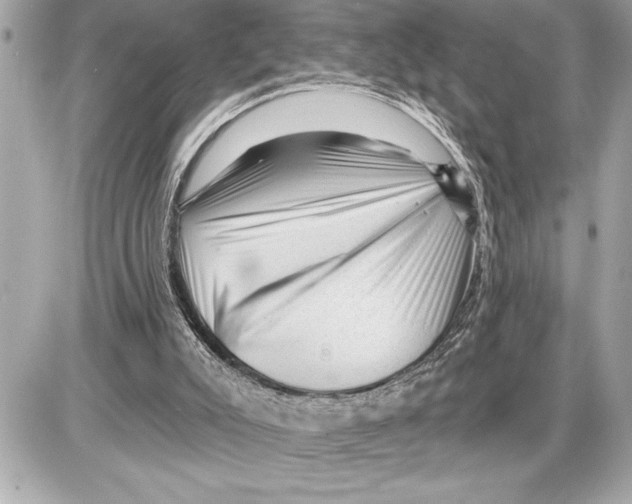 X0000085820007200704091644