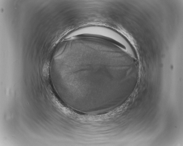 X0000085820009200704091644