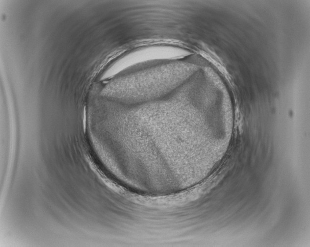 X0000085820013200704091644