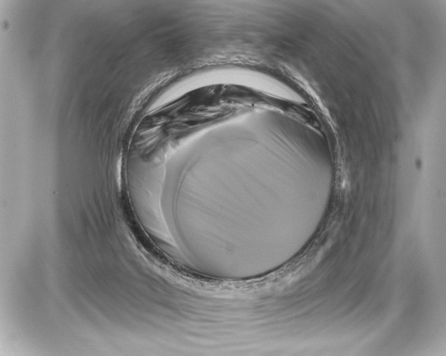 X0000085820019200704091644