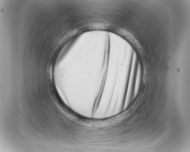X0000085820021200704091644