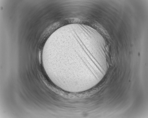 X0000085820022200704091644