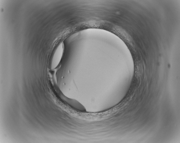 X0000085820023200704091644