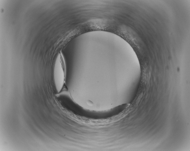X0000085820027200704091644