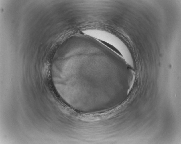 X0000085820029200704091644
