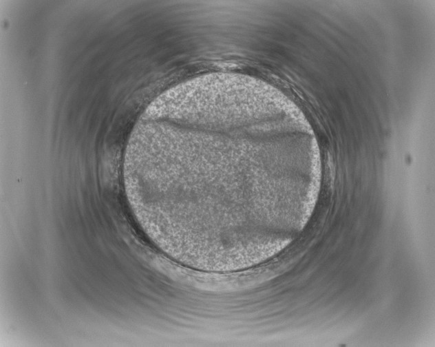 X0000085820030200704091644
