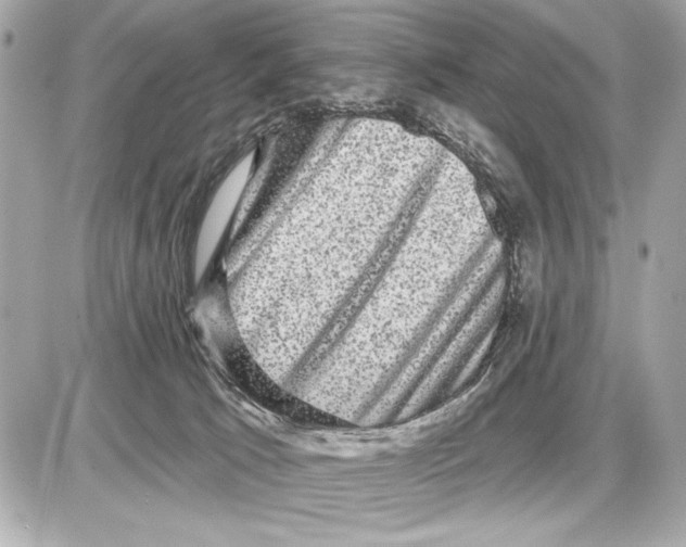 X0000085820033200704091644