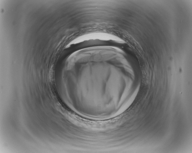 X0000085820035200704091643
