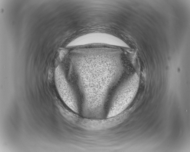 X0000085820037200704091643