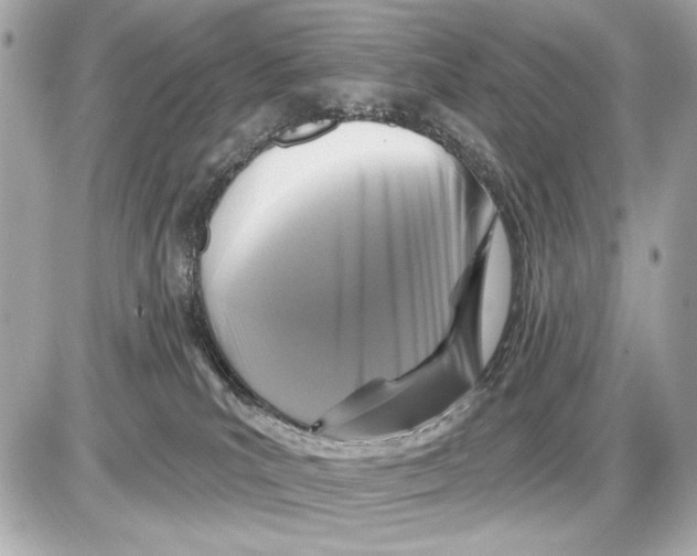 X0000085820039200704091643