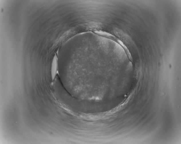 X0000085820041200704091643