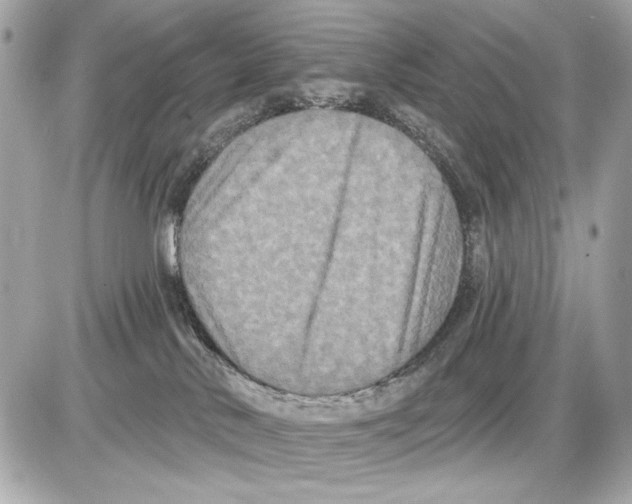 X0000085820042200704091643