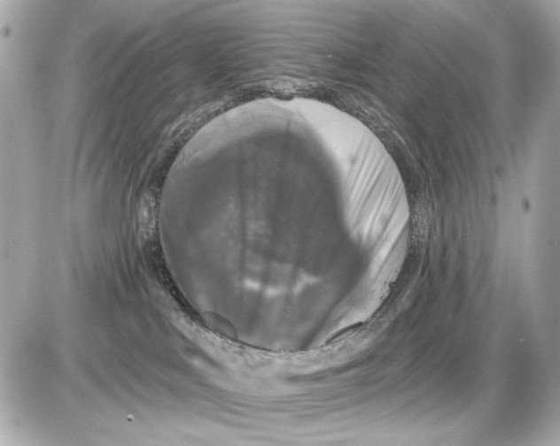 X0000085820043200704091643