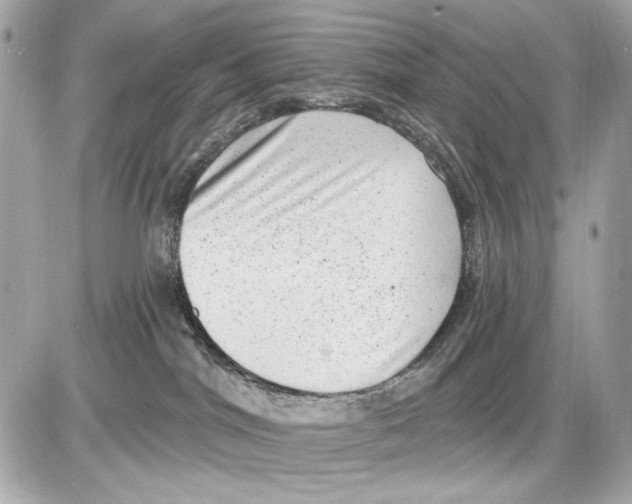 X0000085820044200704091643