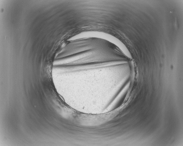 X0000085820045200704091643