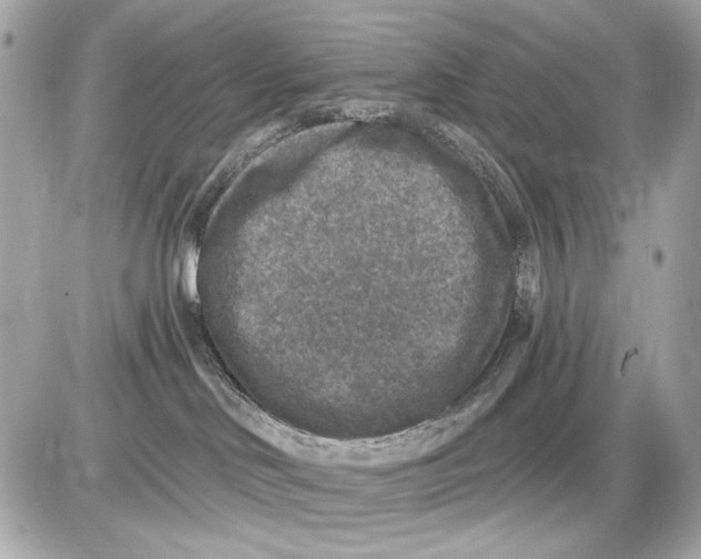 X0000085820046200704091643