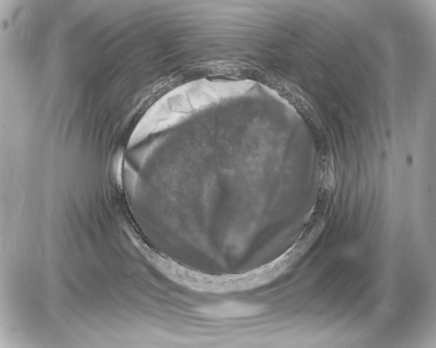 X0000085820047200704091643