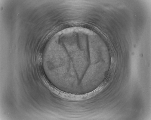 X0000085820048200704091643