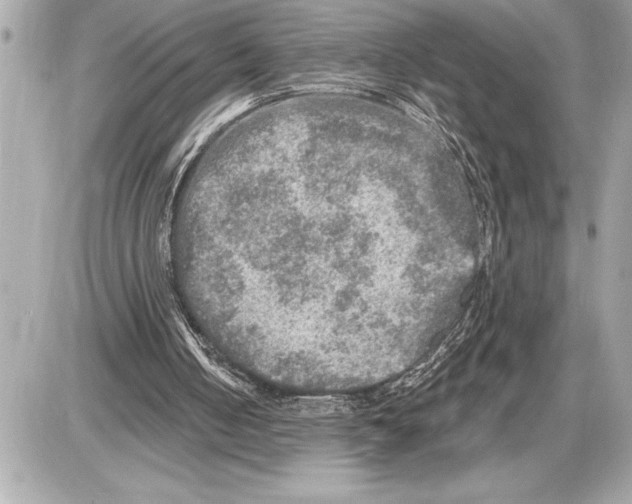 X0000085820050200704091642