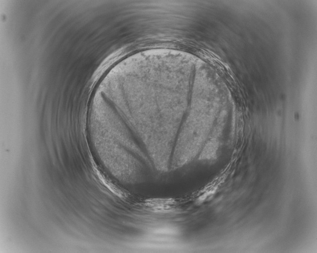 X0000085820051200704091643