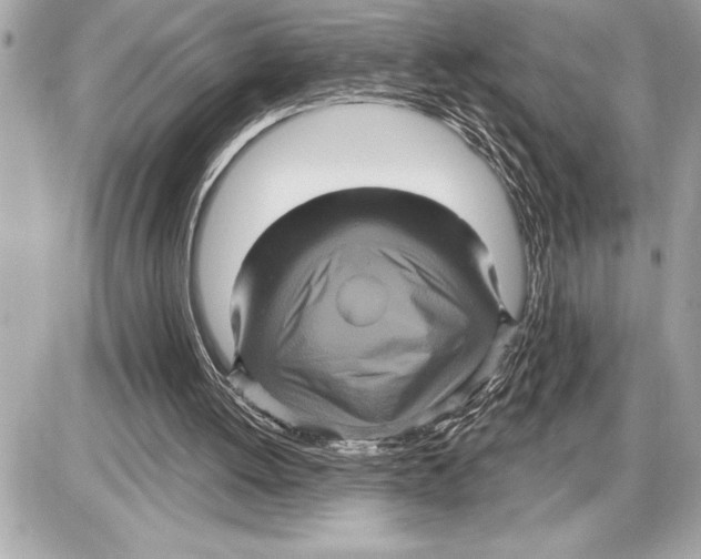 X0000085820052200704091643