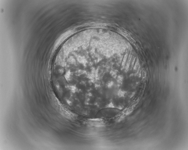 X0000085820053200704091643