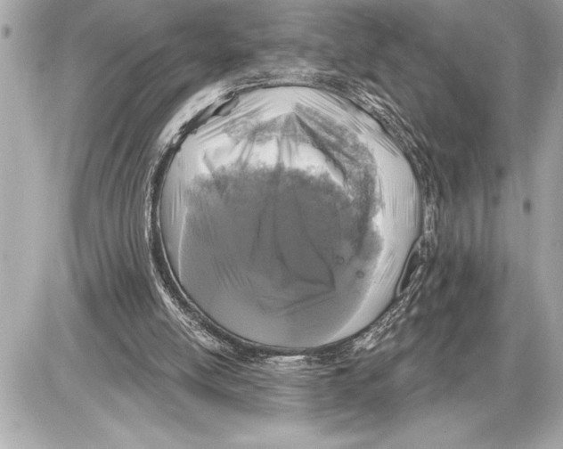 X0000085820054200704091643