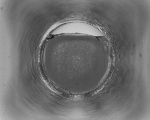 X0000085820056200704091643