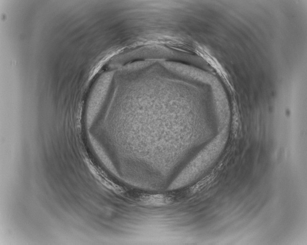 X0000085820058200704091643