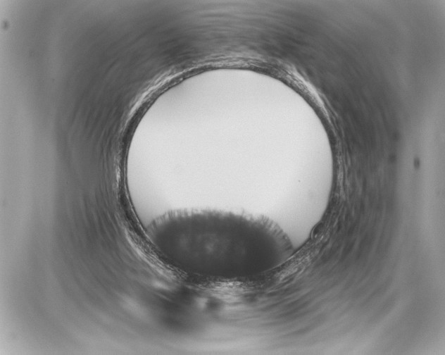 X0000085820059200704091643