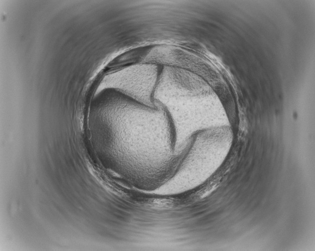 X0000085820060200704091643