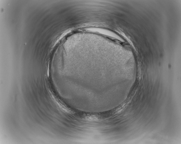 X0000085820062200704091643