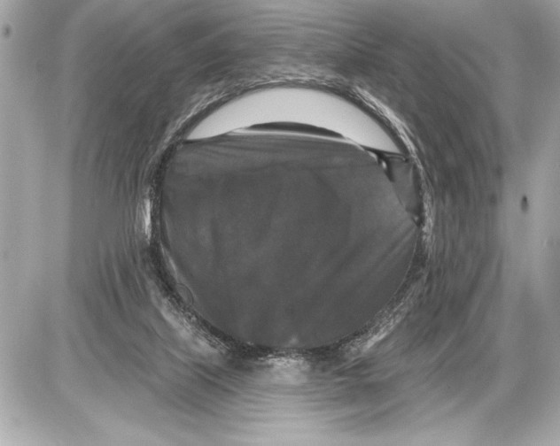 X0000085820067200704091643