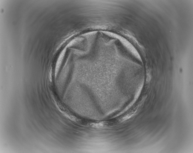 X0000085820068200704091643