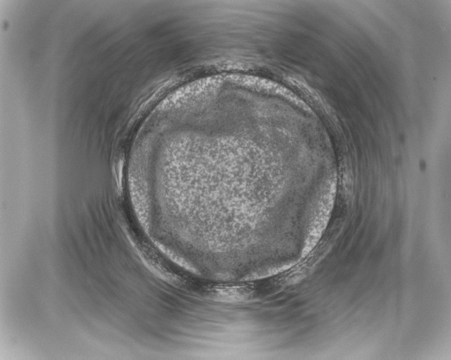 X0000085820070200704091643