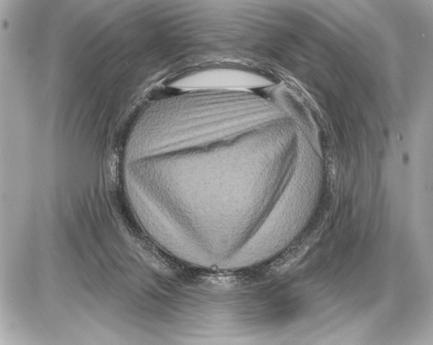 X0000085820071200704091643